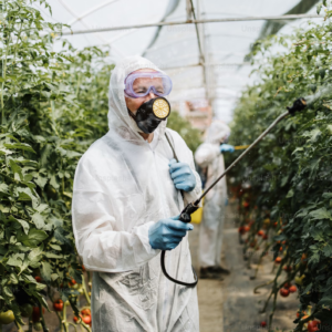 désinsectisation agroalimentaire